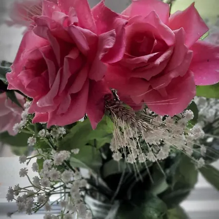 Bed & Breakfast A L'oree Des Volcans