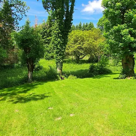 A L'oree Des Volcans 3*