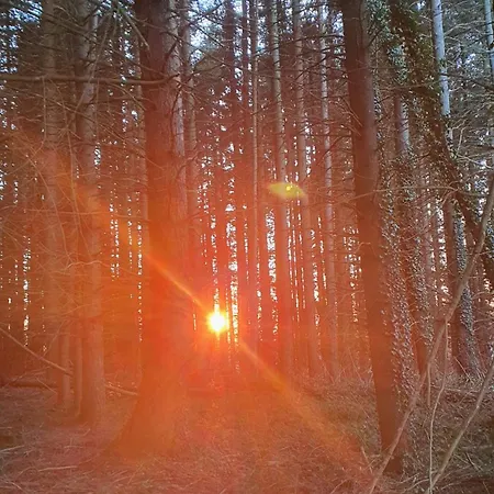 A L'oree Des Volcans Bed & Breakfast