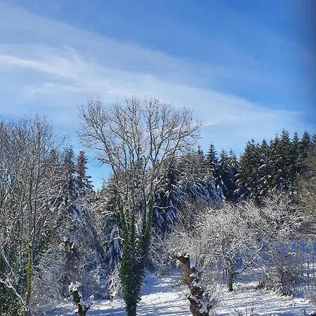 Bed & Breakfast A L'oree Des Volcans