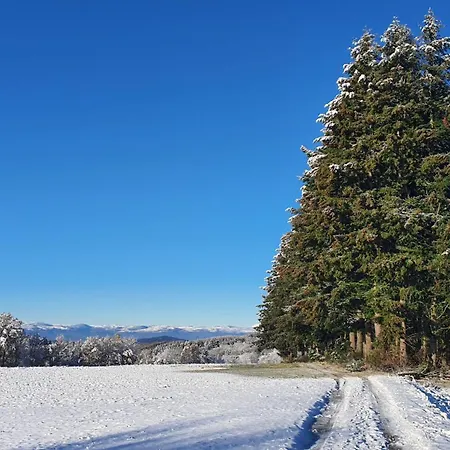 A L'oree Des Volcans Bed & Breakfast