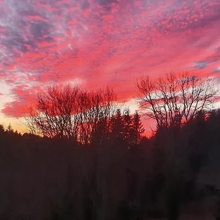 Bed & Breakfast A L'oree Des Volcans *