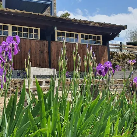 A L'oree Des Volcans Bed & Breakfast