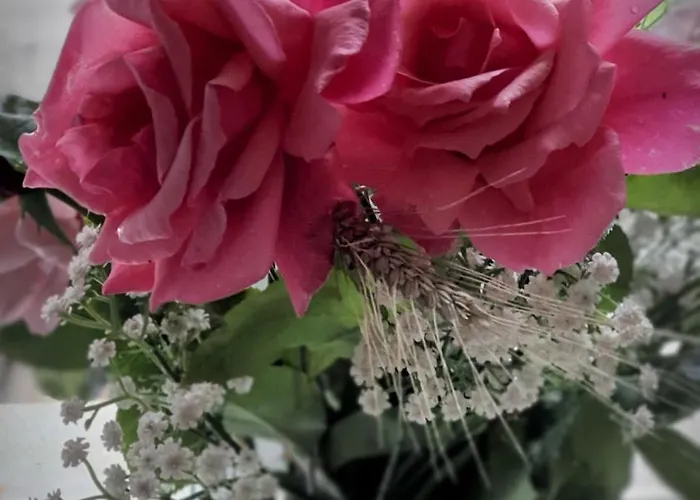 Panzió A L'oree Des Volcans