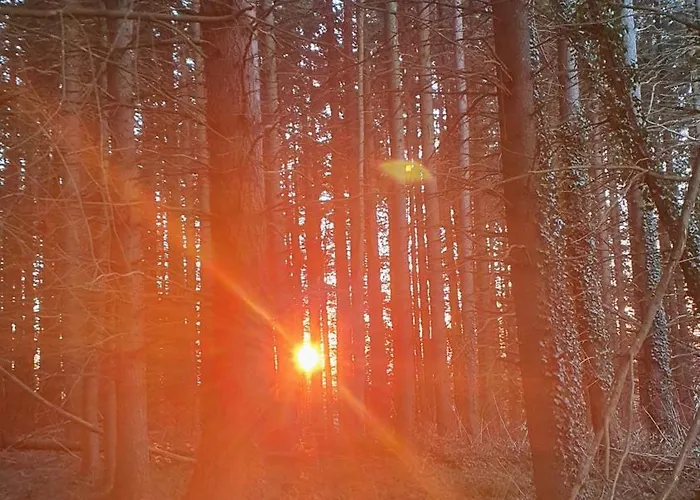 A L'oree Des Volcans Bed & Breakfast