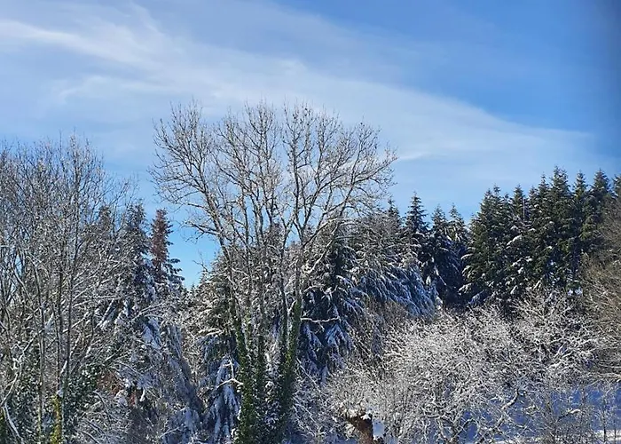 Panzió A L'oree Des Volcans