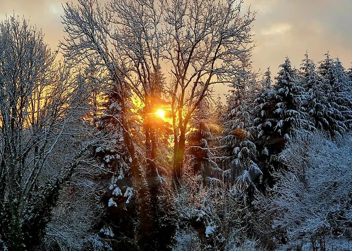 Bed & Breakfast A L'oree Des Volcans 3*