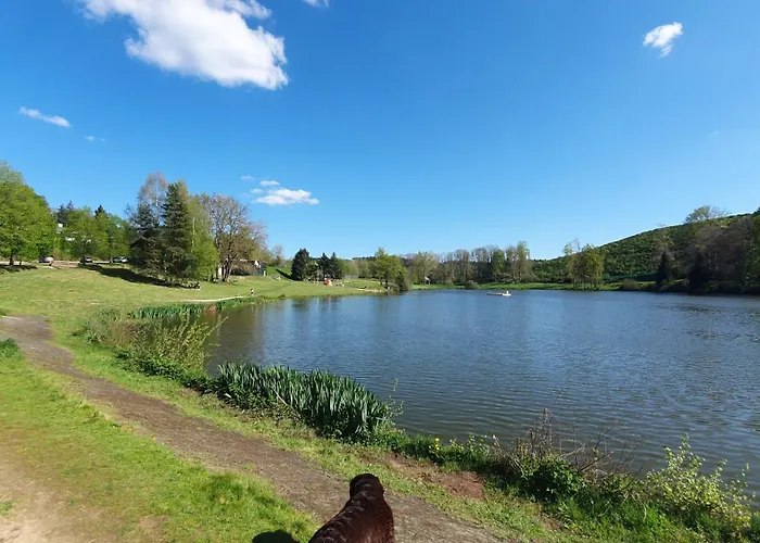 A L'oree Des Volcans Sainte-Catherine (Puy-de-Dome)