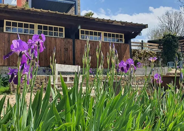 A L'oree Des Volcans Bed & Breakfast