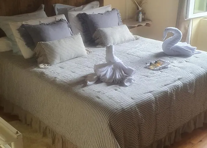 A L'oree Des Volcans