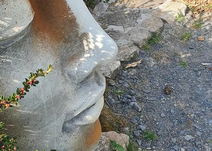 A L'oree Des Volcans Sainte-Catherine (Puy-de-Dome)